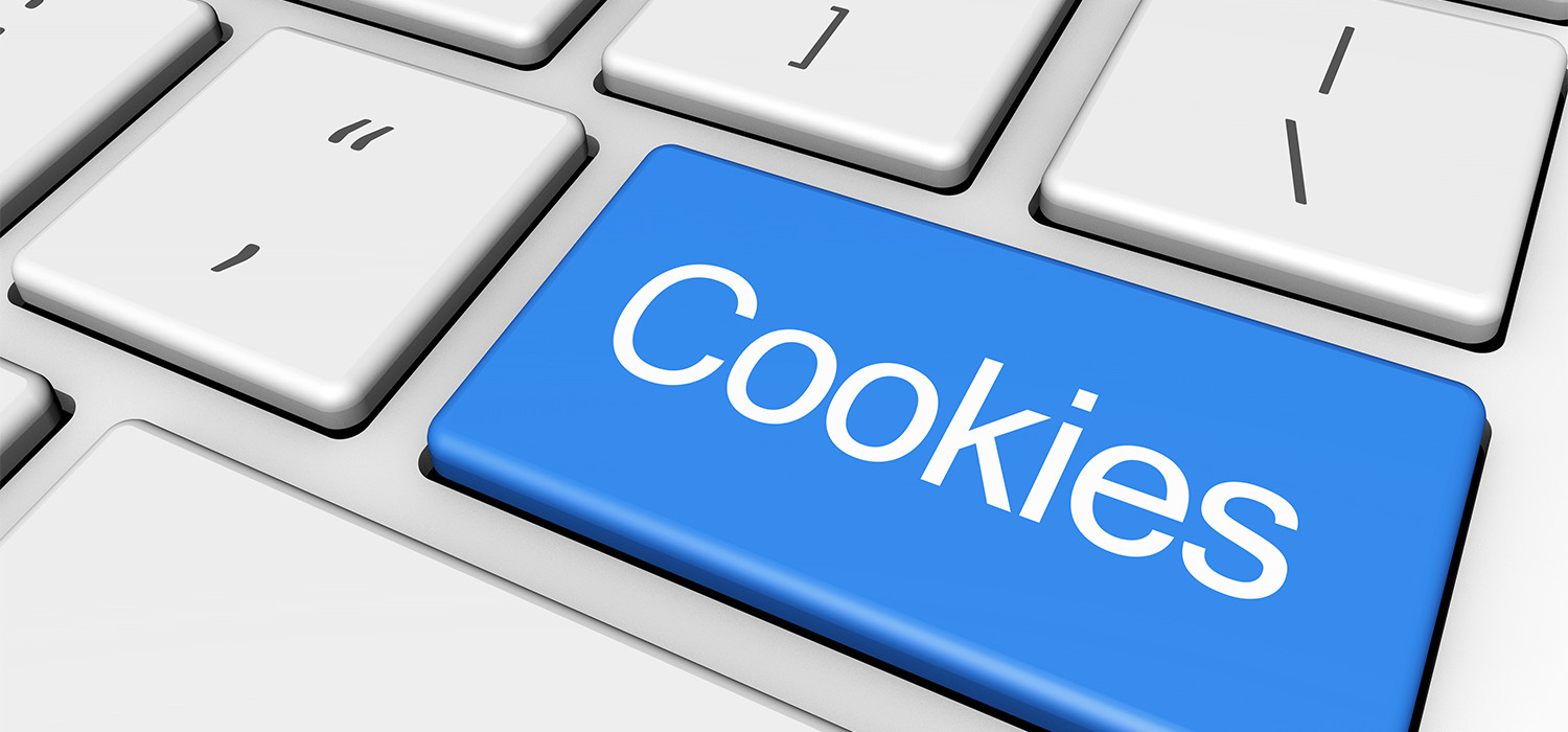 WEBSITE COOKIE POLICY FOR THE TERIMORE MOTEL