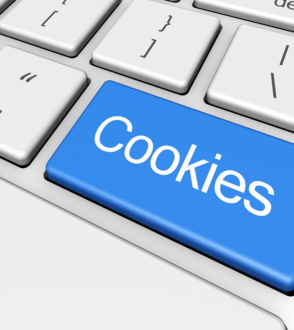 WEBSITE COOKIE POLICY FOR TERIMORE BAYFRONT INN